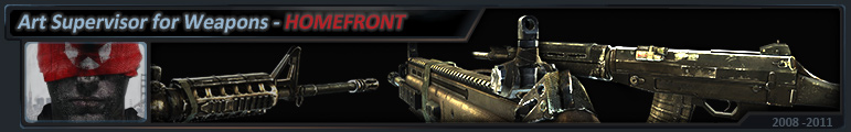 3d professional homefront weapons